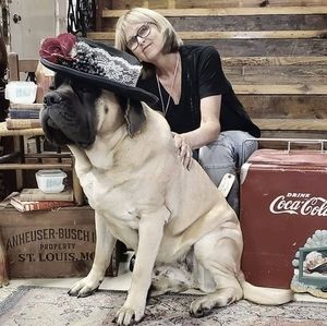 Meet your Posher, Donna